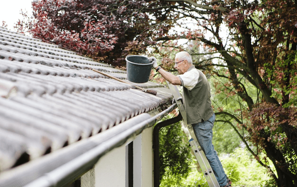 roof maintenance tips