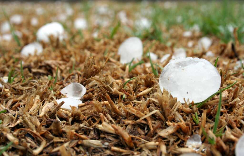 roof damage from hail