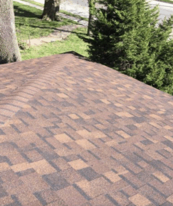 asphalt shingle roof